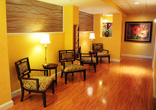 Luxe Salon Spa & Laser Center - Rochester, New York - Electrolysis Hair Removal Services